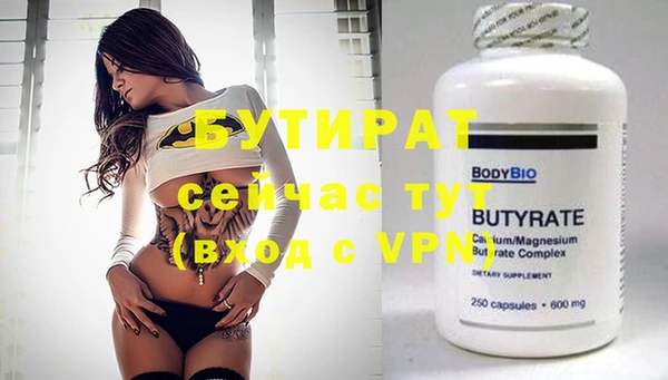 крисы Бородино