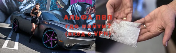 крисы Бородино
