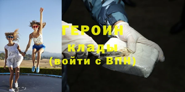 крисы Бородино