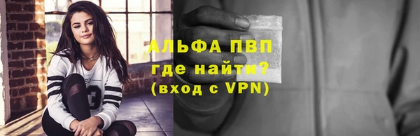 крисы Бородино