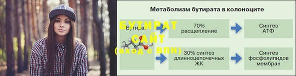 крисы Бородино