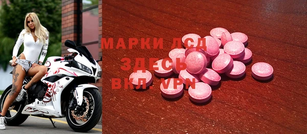 крисы Бородино