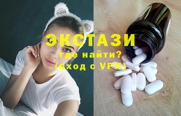 крисы Бородино