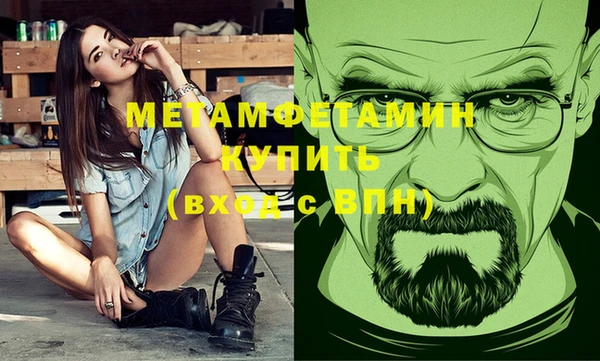 прущие грибы Верея