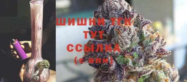крисы Бородино