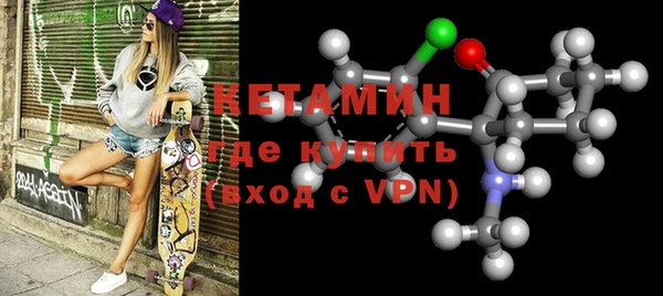 крисы Бородино