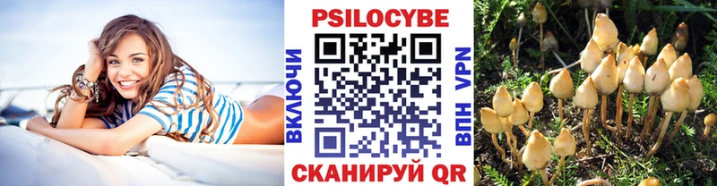 Псилоцибиновые грибы GOLDEN TEACHER  дарнет шоп  Наро-Фоминск 